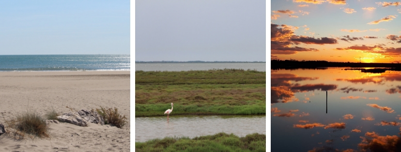 La Camargue Sauvage
