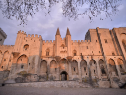 Avignon Castle