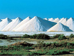 Les Salins du midi